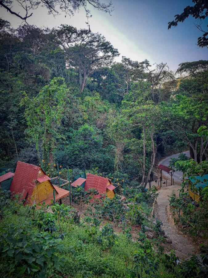 Eco Cabin - Tanoa Minca 호텔 외부 사진